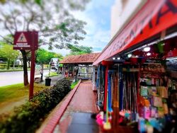 Hougang Avenue 1 (D19), Shop House #581728721